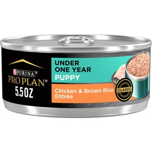 Purina Pro Plan Development Puppy Chicken & Brown Rice Entree Canned Dog Food, 5.5-oz, case of 24