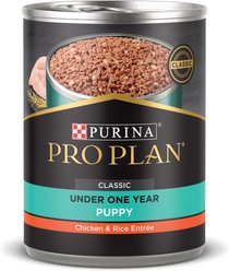 Purina Pro Plan Development Puppy Chicken & Rice Entree Canned Dog Food, 13-oz, case of 12