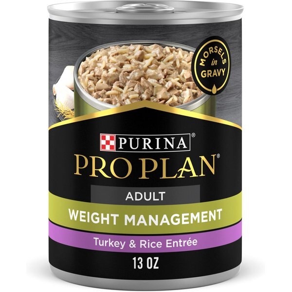 HILL'S SCIENCE DIET Adult Sensitive Stomach & Skin Tender Turkey & Rice