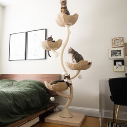 Cyber monday cat tree shops