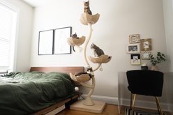 Mau Lifestyle Ivy Cat Tree, White, Large slide 2 of 7