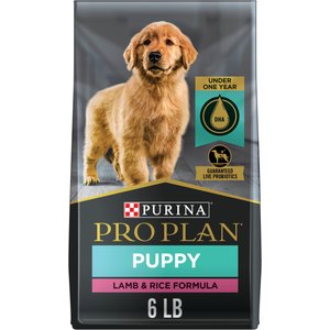PLAN High Protein Chicken & Rice Dry Puppy Food, 6-lb - Chewy.com