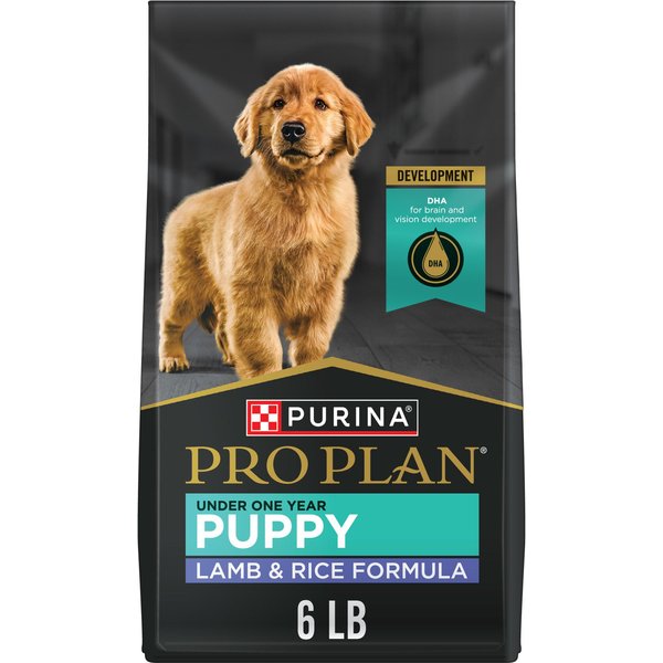 DIAMOND Naturals Large Breed Puppy Formula Dry Dog Food, 6-lb bag ...