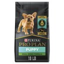 Purina Pro Plan Puppy Small Breed Chicken & Rice Formula Dry Dog Food, 18-lb bag