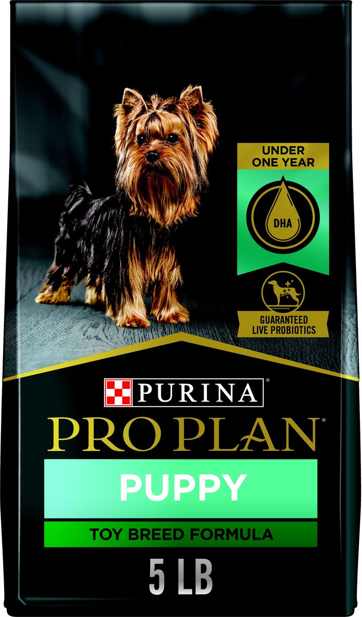 Purina dog hot sale toy