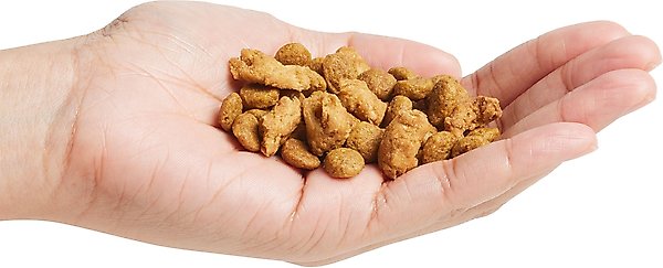 Show full view: Purina Pro Plan Puppy Shredded Blend Chicken & Rice Formula with Probiotics Dry Dog Food, 34-lb bag slide 5 of 10