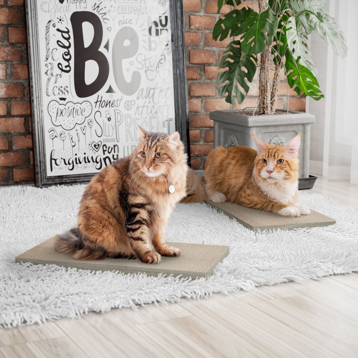 WAY BASICS Eco zBoard Premium Cat Scratcher, 2 count, Aspen Grey