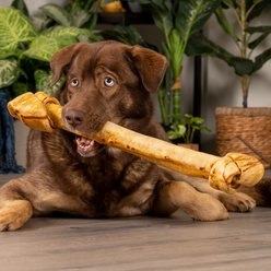 Pet Factory Beefhide 21-inch Chicken Flavored Dog Bones, 1 count slide 2 of 7