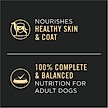 Show in main carousel: Purina Pro Plan Complete Essentials Adult Classic Chicken & Rice Entree Canned Dog Food, 13-oz, case of 12 slide 5 of 10