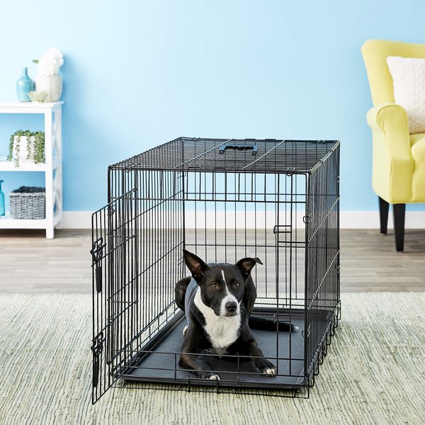 Discontinued - FOUR PAWS Deluxe Single Door Collapsible Wire Dog Crate ...