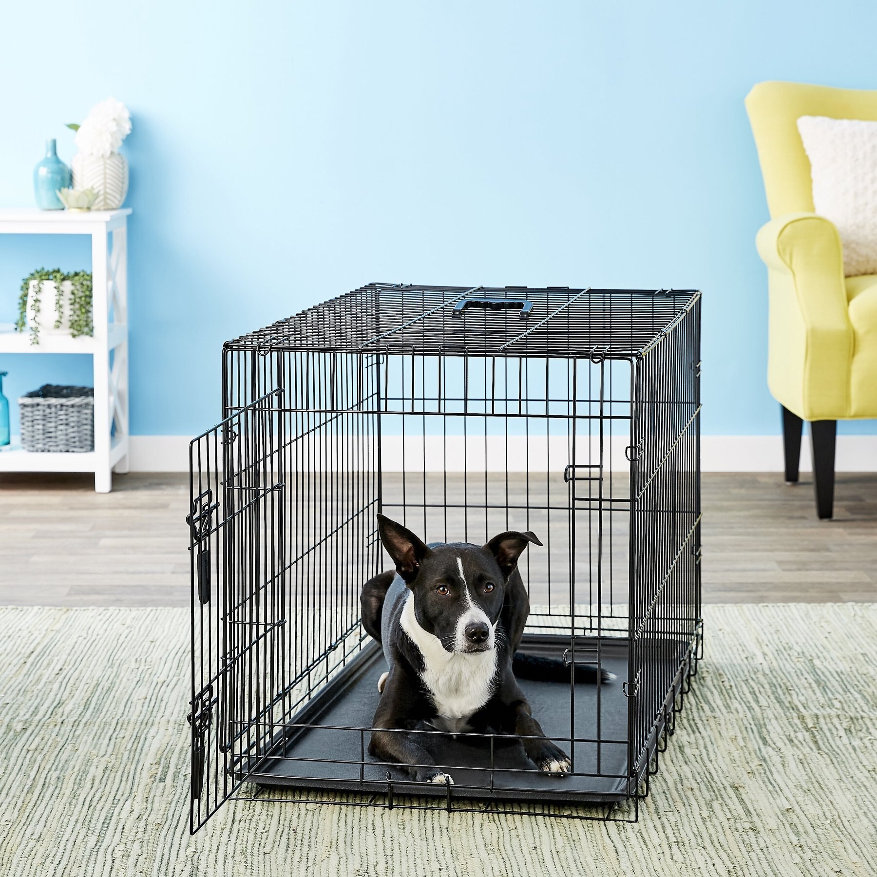 Discontinued FOUR PAWS Deluxe Single Door Collapsible Wire Dog Crate 24 inch Chewy