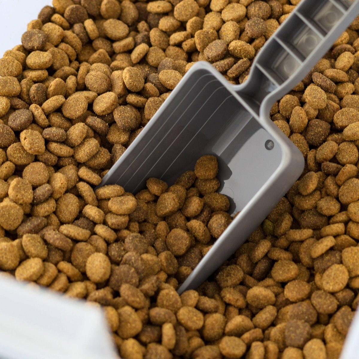 IRIS Airtight Cat, Dog & Bird Food Storage Container with Attachable