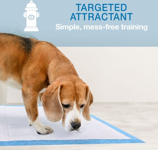 Four Paws Wee-Wee Gigantic Dog Training Pads, 18 count