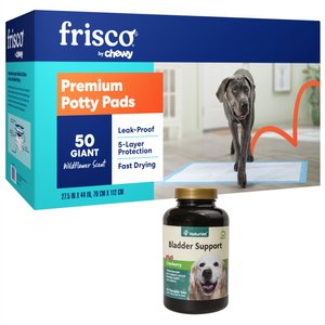 Frisco Giant Training & Potty Pads, 27.5 x 44-in, 50 count, Scented + NaturVet Bladder Support Plus Cranberry Chewable Tablets Urinary Supplement for Dogs, 60 count