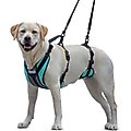 Walkin' Pets Walkin' Lift-n- Step Dog Harness, Aqua, Small