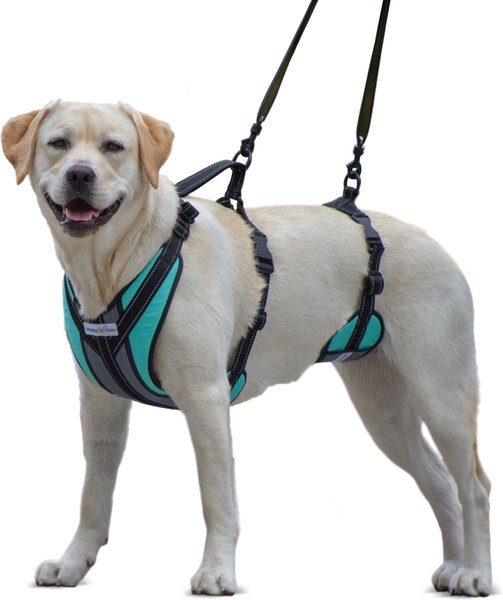 Walkin' Pets Walkin' Lift-n- Step Dog Harness, Aqua, Medium slide 1 of 6