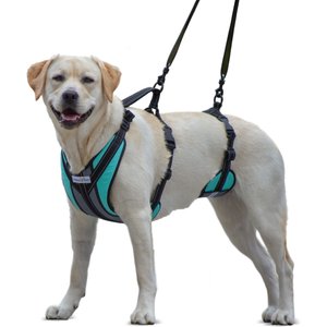 Walkin' Pets Walkin' Lift-n- Step Dog Harness, Aqua, Medium