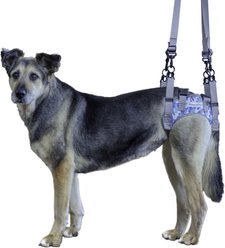Walkin' Pets Walkin' Warrior Rear Dog Harness, Blue, XX-Small