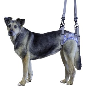 Walkin' Pets Walkin' Warrior Rear Dog Harness, Blue, XX-Small