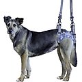 Walkin' Pets Walkin' Warrior Rear Dog Harness, Blue, Large
