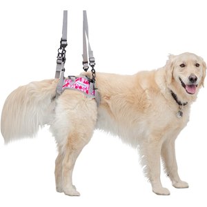 Walkin' Pets Walkin' Warrior Rear Dog Harness, Pink, Small