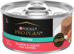 Purina Pro Plan Kitten Classic Salmon & Ocean Fish Entree Canned Cat Food, 3-oz, case of 24