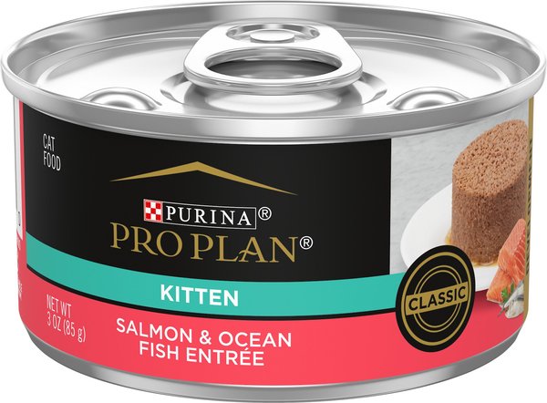 purina pro plan kitten salmon