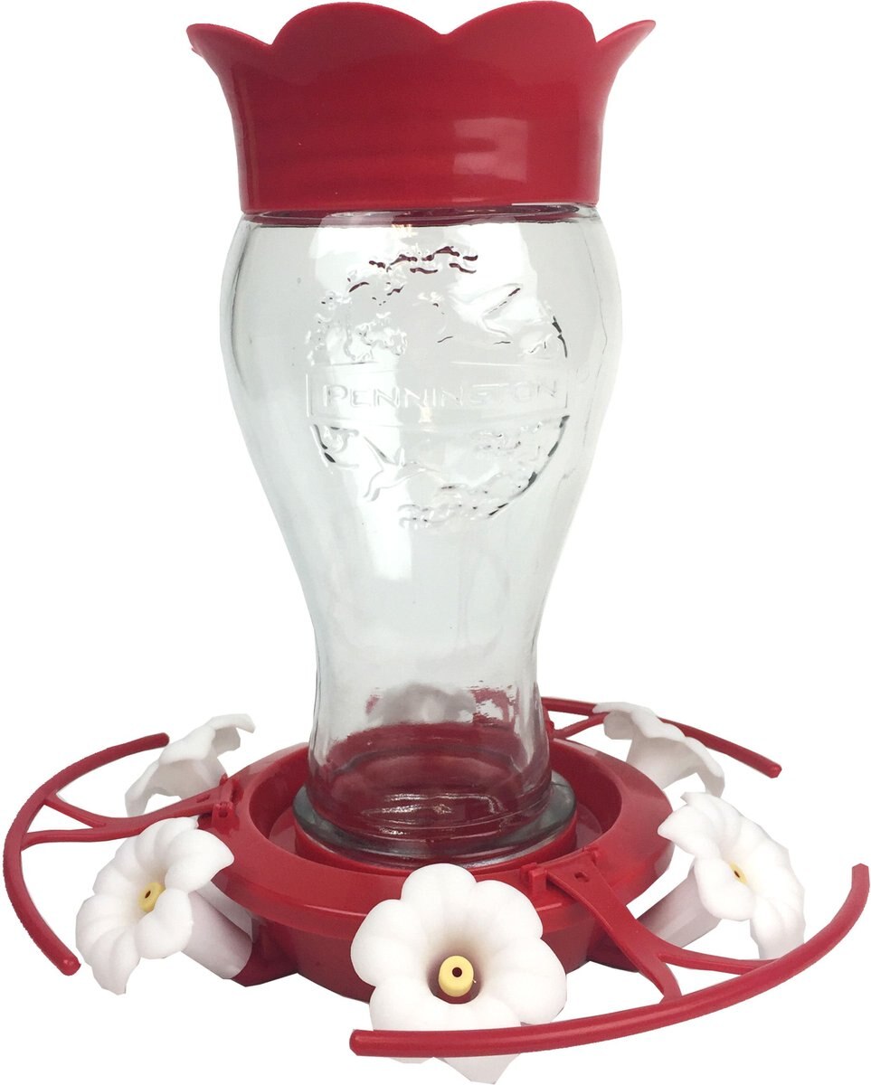 PENNINGTON Glass Flip Perch Hummingbird Feeder