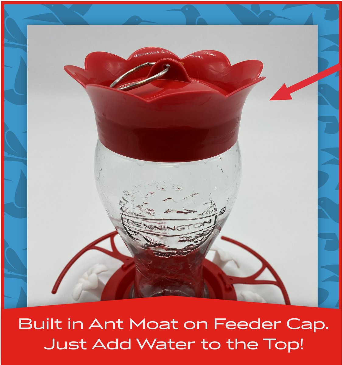 PENNINGTON Glass Flip Perch Hummingbird Feeder
