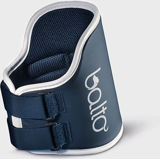 Balto Rigid Dog Neck Brace, X-Small