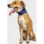 Canine store neck brace