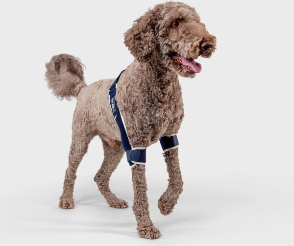 Balto Soft Plus Dog Double Elbow Brace, X-Large slide 1 of 6