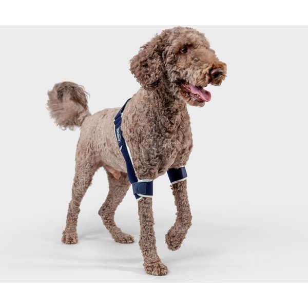 BALTO Soft Dog Elbow Brace, XLarge Left