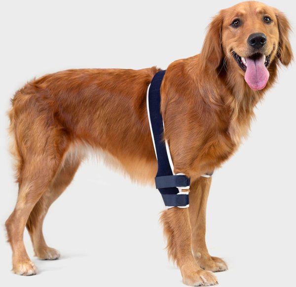BALTO Soft Dog Elbow Brace, Small Left