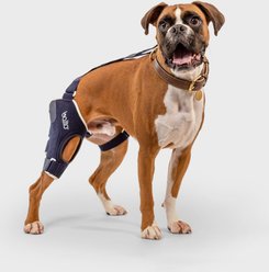 Balto Jump Dog Knee Brace, XX-Small- Right