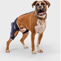 Balto Jump Dog Knee Brace, Medium- Left