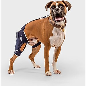 Balto Jump Dog Knee Brace, Large- Left