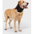 Balto Neck Eco Dog E-Collar Alternative , XX-Small