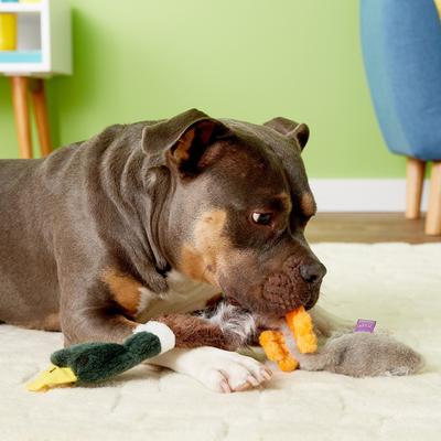 Show full view: Multipet Empty Nester Squeaky Stuffing-Free Plush Dog Toy, Mallard slide 3 of 5