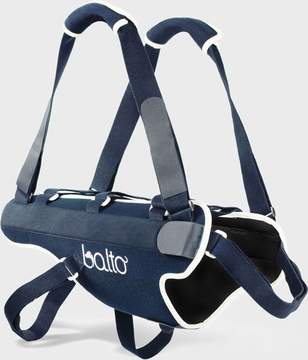 BALTO Body Lift Dog Body Harness with Handles, XSmall