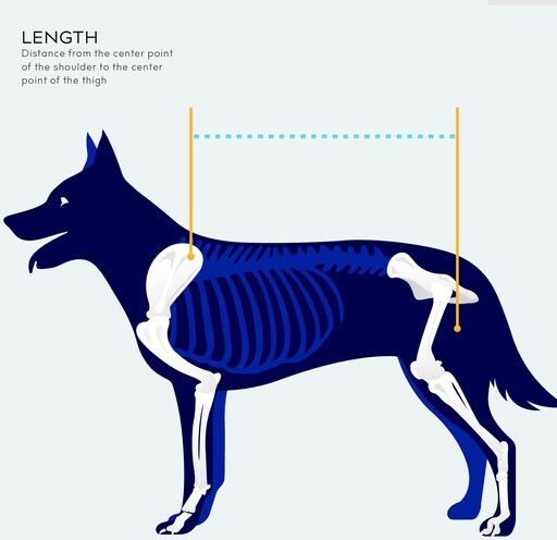 Balto Body Lift Dog Body Harness with Handles, Medium