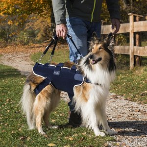Balto Body Lift Dog Body Harness with Handles, Large