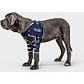 Balto Lux Dog Shoulder Brace, Medium