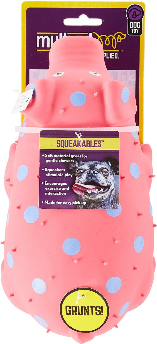 Squealing pig best sale dog toy