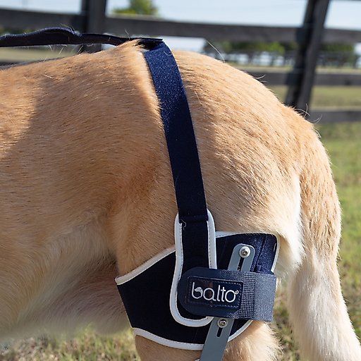 Balto Ligatek Adjustable Hinged Dog Knee Brace, Large- Right