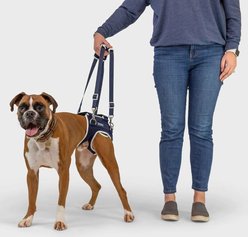 Balto Life Hip Dysplasia Dog Brace, X-Small