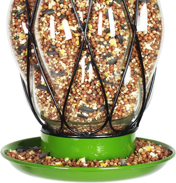 Exhart Celadon Metal Wire & Glass Bird Feeder, Green