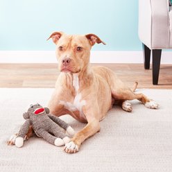 Multipet Sock Pal Monkey Squeaky Plush Dog Toy, Regular slide 2 of 4