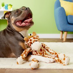 Multipet Swingin' Safari with Extra Long Arms & Legs Squeaky Plush Dog Toy, Giraffe slide 2 of 2