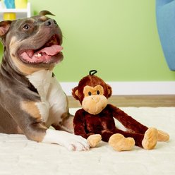 Multipet Swingin' Safari with Extra Long Arms & Legs Squeaky Plush Dog Toy, Monkey slide 2 of 2